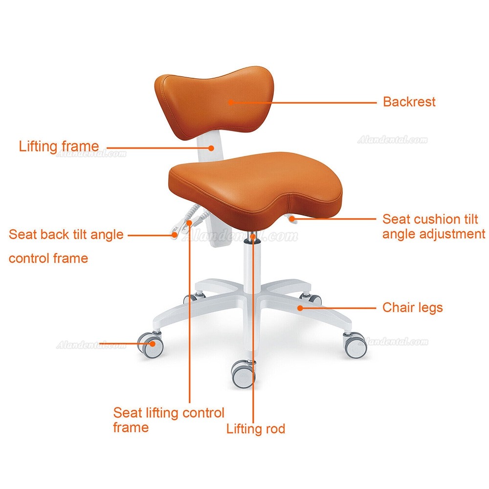 TYTC PLST-060 Dental Assisting Chairs Ergonomic Dentist Stool (Seat Cushion/Backrest Angle Adjustable)